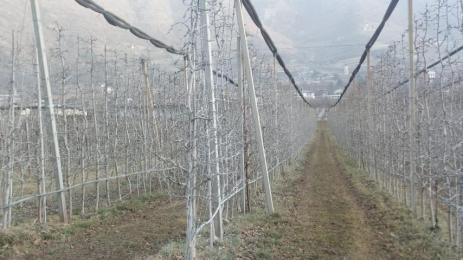 Агро Телеграф