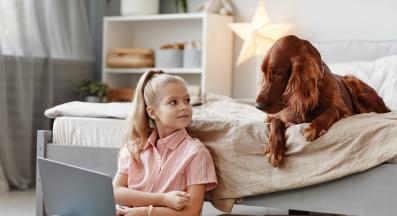 Ирландски сетер