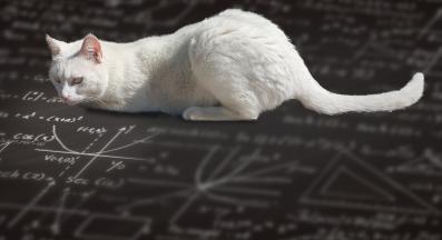 котка и математика