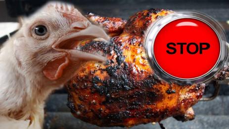 птиче месо забранено