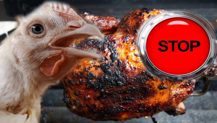 птиче месо забранено - ЗАРАЗАТА ПЛЪЗНА ПАК: Птичият грип се върна!