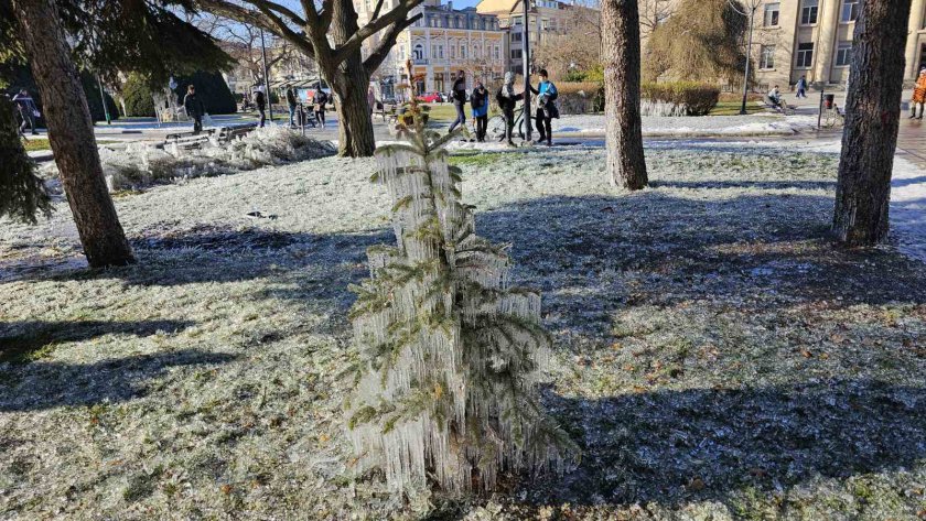 замръзнало русе