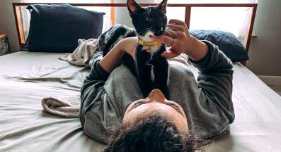 домашна котка