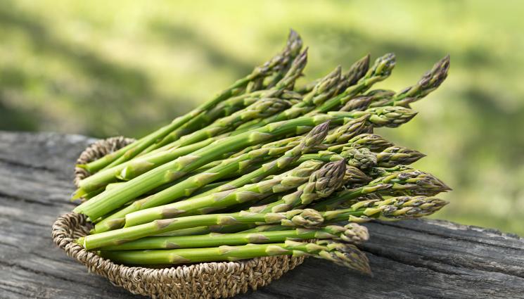 аспержи - С УНИКАЛЕН МЕТОД НА ГАДАЕНЕ: Аспержи предсказват войни и кралски разводи! (СНИМКИ)