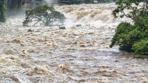 11 души са станали жертва на проливни дъждове в Рио