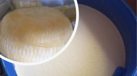 сирене мляко