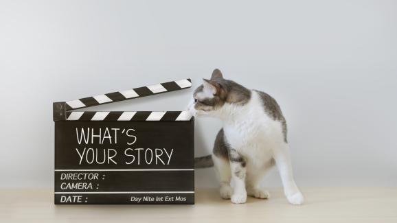 5 филма за котки, които да гледате в Netflix