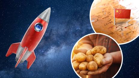 Космос картофи