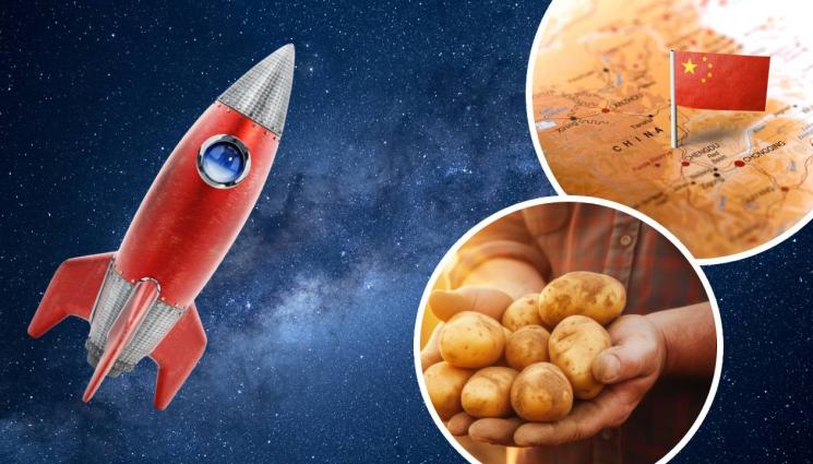 Космос картофи - Китай експериментално засажда космически картофи!