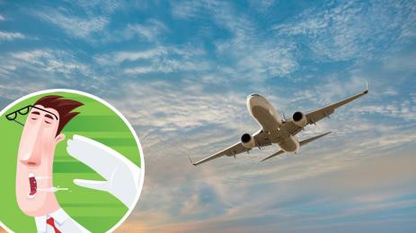 плесница самолет