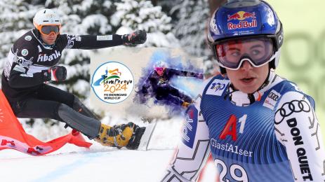 Ледецка Янков