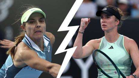 Томова Свитолива