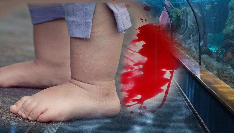 дете вода кръв - КЪРВАВА ТРАГЕДИЯ В КУРОРТ: Дете разкъсано брутално по време на разходка! (СНИМКИ+ВИДЕО)