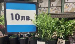 Двойни цени в магазините: Пазете се от объркване