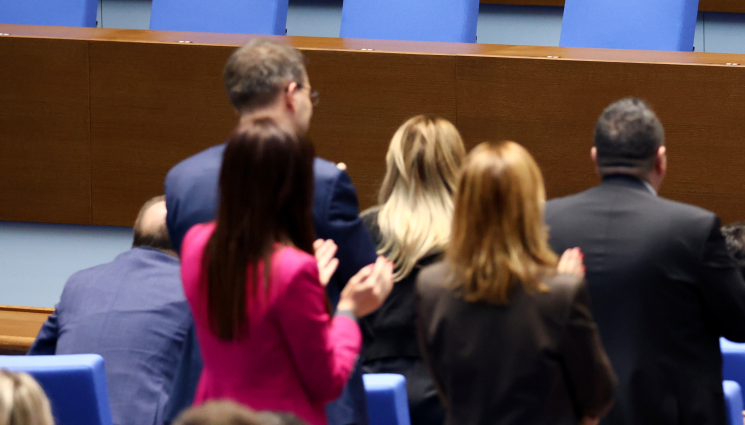 Александрова - Двама депутати влизат в Конституционния съд