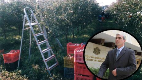 Първан Дангов