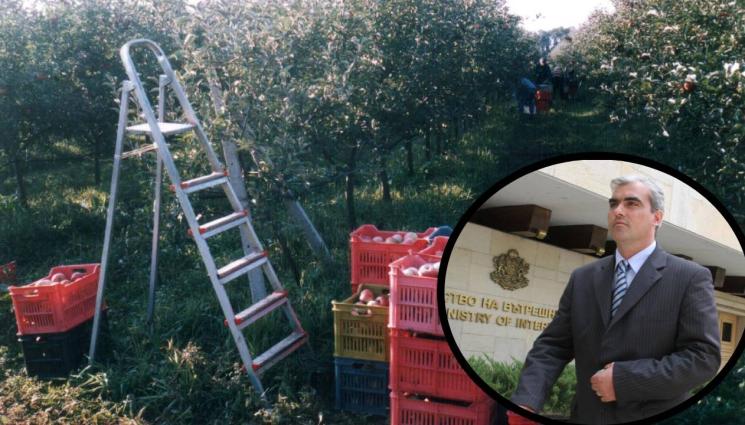 Първан Дангов - Дупнишкият управник се развихри, праща общинари в ТКЗС!