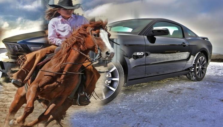 каубой - НОВА ЕКОКАТЕГОРИЯ: Слязохме от колите, яхнахме коне! (ВИДЕО)