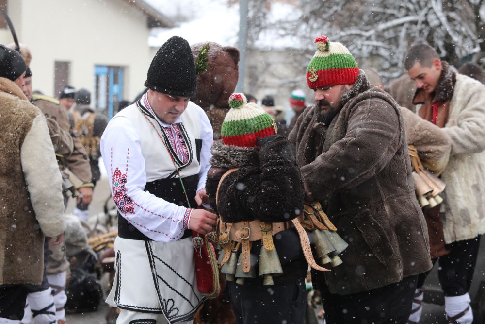 Сурва