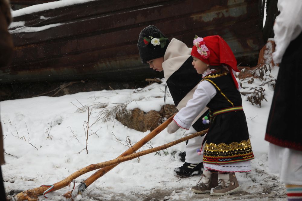 Сурва