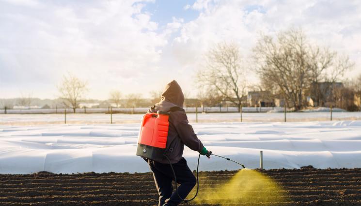 почва - Агро Телеграф: Пропарваме почвата срещу плевели и патогени