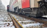 Хаос по жп линиите в България - паднали дървета спряха влакове в страната