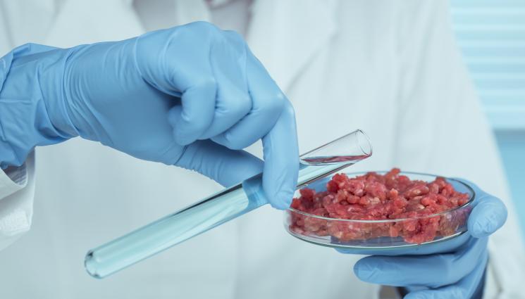 месо - Шеф-готвачът на звездите: Минаваме на лабораторно месо, истинското ще е само за богати!