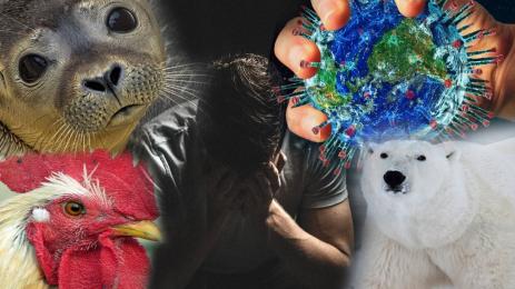 вирус заплаха