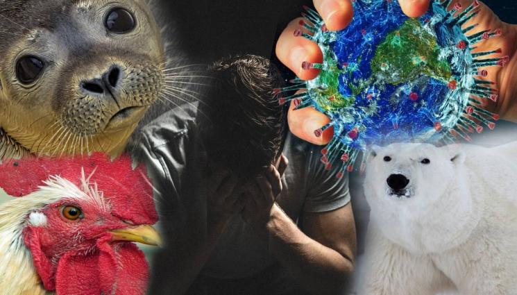 вирус заплаха - ЗАДАВА СЕ НЕЧУВАНО БЕДСТВИЕ: Мутирал вирус избива хиляди бозайници, ще нападне ли и човека? (СНИМКА+ВИДЕО 18+)