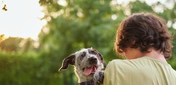 Ползите за здравето ни от отглеждането на куче