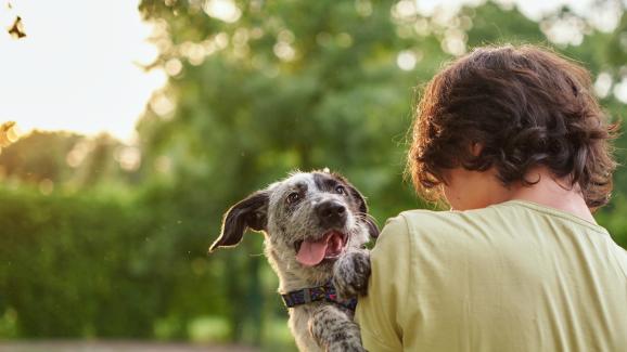 3 неочаквани ползи от отглеждането на куче
