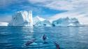 Гигантски вируси са открити в гренландската ледена покривка