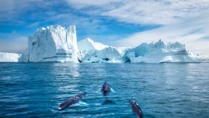 Гренландия със своите ледени простори и уникална култура е загадъчното