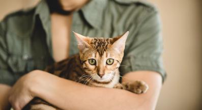 жена държи котка