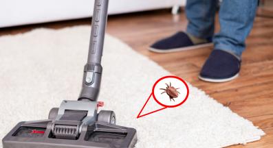 куче чистене