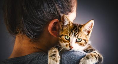 котка и жена