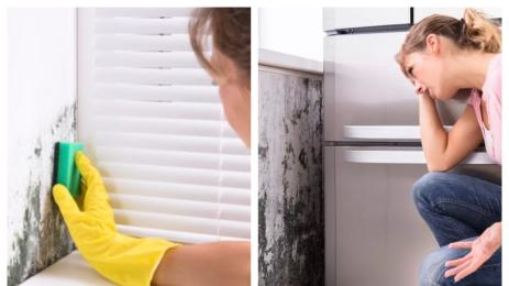 чистене на влага