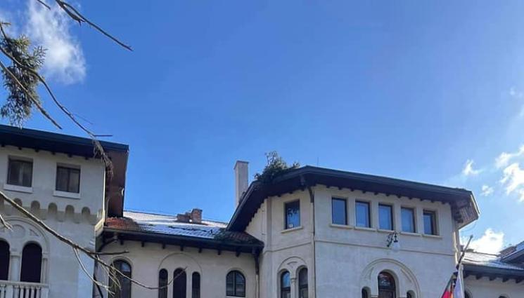 врана - ОПАСНОСТ: Борове падат до двореца на Симеон