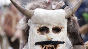 Сурва Перник кукери фестивал