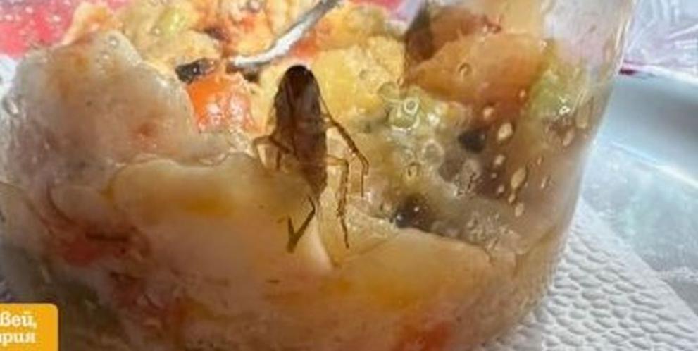 Снимка: Майка откри хлебарка в храната на детето ѝ, взета от детската кухня в Монтана