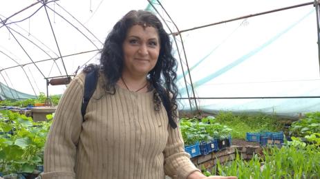 Девина Деси Владовска