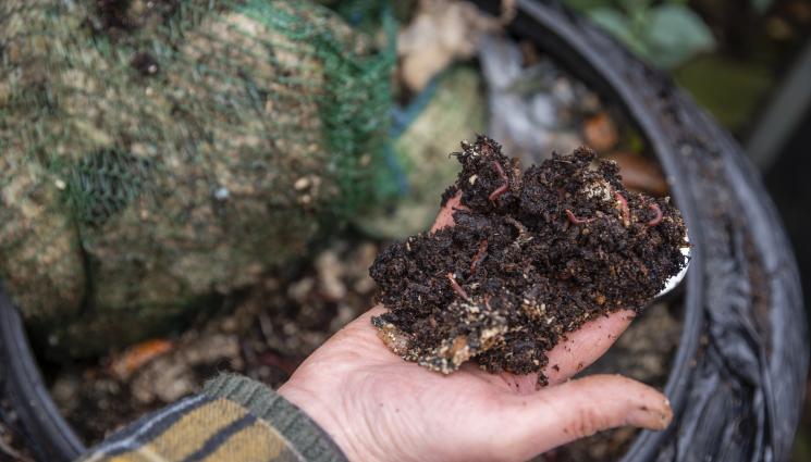 компост - Агро Телеграф: Микровълновата убива патогените в компоста, нагарейте до 82°C