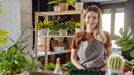 Кактус цветя