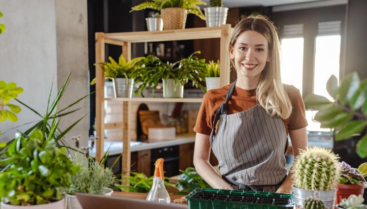 Кактус цветя - Агро Телеграф: Кактус и алое – любимци в студа
