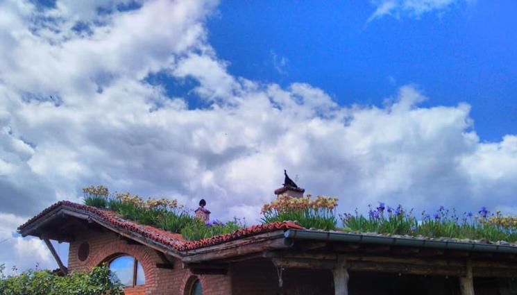 Имение Обичковци - Агро Телеграф: Селските плетарки – жилищата на бъдещето