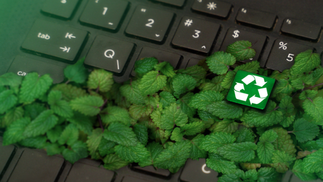 Да направим място за по-добро утре с eMAG