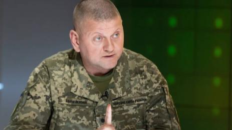 Валерий Залужни