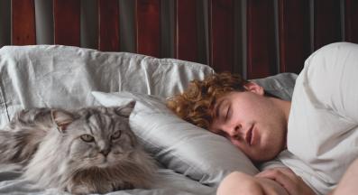 котка в легло