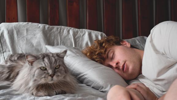Защо котката спи на възглавницата ми? 5 възможни причини!