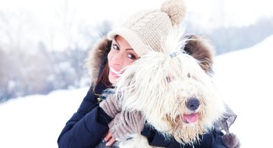 Староанглийска овчарка